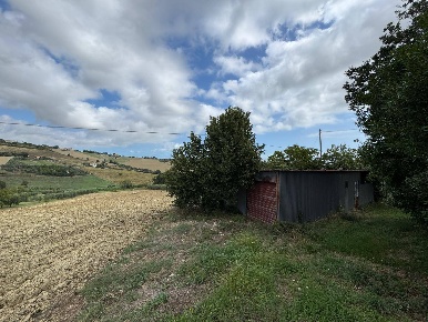 Foto Terreno agricolo a Fermo di 10000 m² in vendita