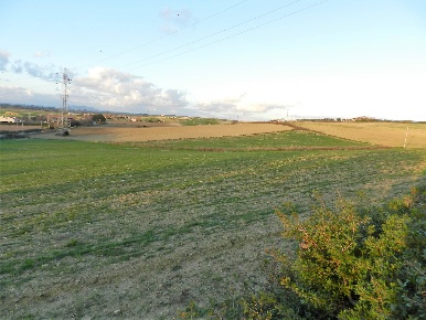 Foto Terreno agricolo in Località Bandita San Pantaleo, Tarquinia Campagna