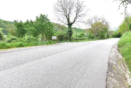 Foto Terreno agricolo in 3 SS371, Tufo di 4710 m² in vendita