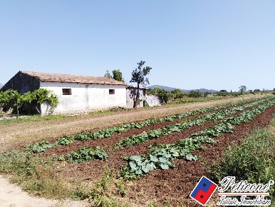 Foto Terreno agricolo in Via Portaturo, Fondi di 6500 m² in vendita