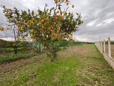 Foto Terreno agricolo in Via Appia Antica, Maddaloni di 1694 m² in vendita