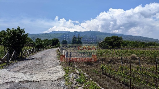 Foto Terreno agricolo in c.da Cerro, Castiglione di Sicilia di 13824 m²