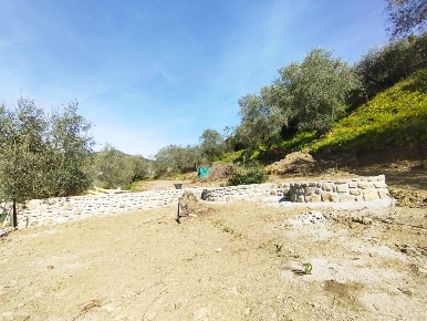Foto Terreno residenziale a San Biagio della Cima di 1400 m² in vendita