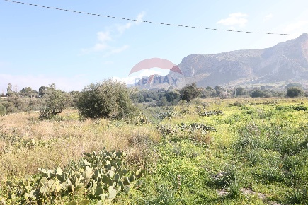 Foto Terreno residenziale in C.da Serra- Cacciatori, Terrasini Serra