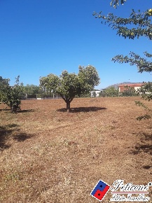 Foto Terreno agricolo in Via Covino, Fondi Salto Covino di 2577 m²