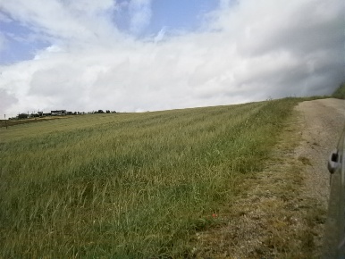 Foto Terreno agricolo in Contrada Mottola, Campolattaro di 53000 m²