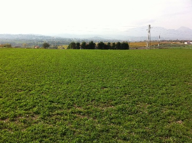 Foto Terreno agricolo in Contrada Cancelleria, Benevento di 10000 m²
