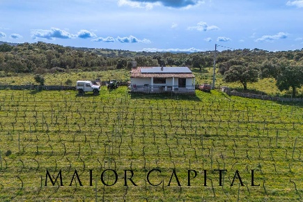 Foto Terreno agricolo in SS 199, Oschiri di 22000 m² in vendita