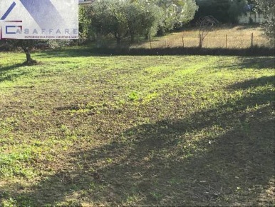 Foto Terreno residenziale a Montesilvano di 1500 m² in vendita