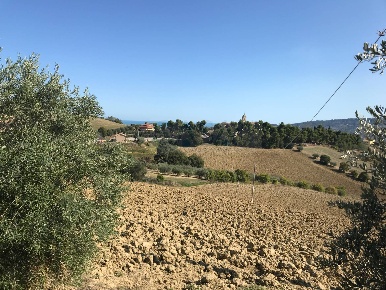 Foto Terreno residenziale in Monteprandone, Monteprandone Centro di 1000 m²