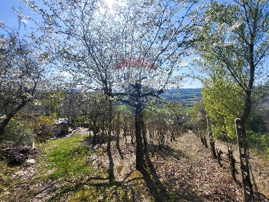 Foto Terreno agricolo in Cantalupo, Cupramontana di 3562 m² in vendita