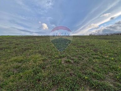 Foto Terreno agricolo in contrada pezze, San Marco Argentano di 21051 m²
