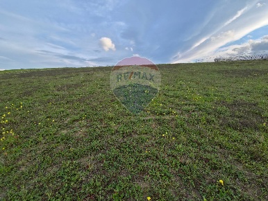 Foto Terreno agricolo in contrada pezze, San Marco Argentano di 21051 m²