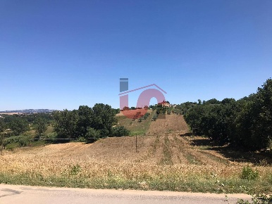 Foto Terreno residenziale in Perrillo, Sant'Angelo a Cupolo di 4000 m²