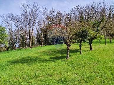 Foto Terreno agricolo in località Lo Stecco, Figline e Incisa Valdarno