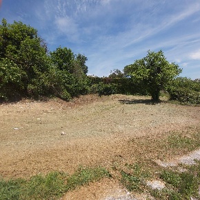 Foto Terreno residenziale in montecastrilli, Montecastrilli di 1390 m²