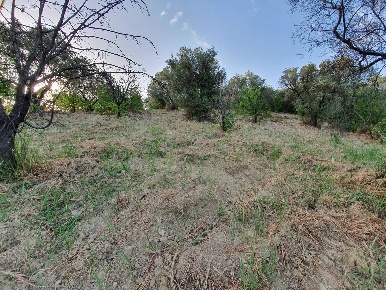 Foto Terreno agricolo in VIA SAUCCIA, Marcellina di 18000 m² in vendita