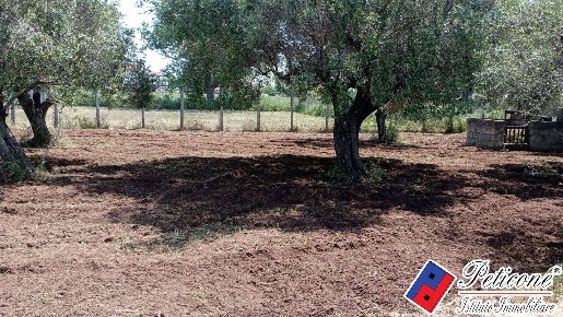 Foto Terreno agricolo in Via s.Anastasia, Fondi di 700 m² in vendita