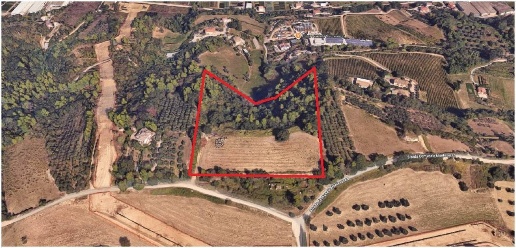 Foto Terreno agricolo in Strada Comunale Montesecco, Grottammare in vendita