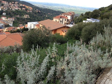 Foto Terreno residenziale in LOCALITA' PALATU, Ozieri in vendita