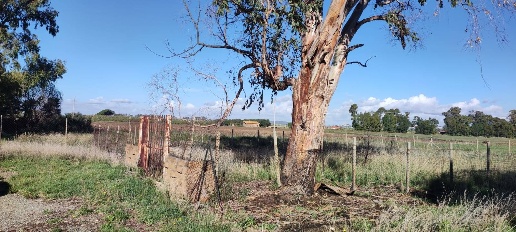 Foto Terreno agricolo in Località San Giorgio, Tarquinia San Giorgio