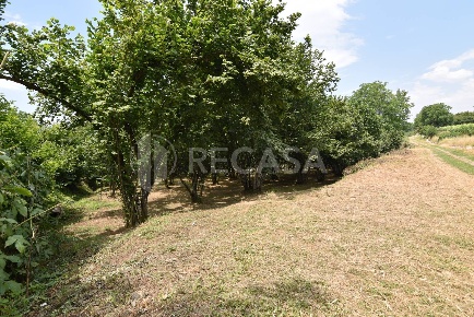 Foto Terreno residenziale a Aiello del Sabato di 2200 m² in vendita