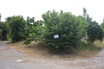 Foto Terreno agricolo in Via Tiratore, Atripalda di 1900 m² in vendita