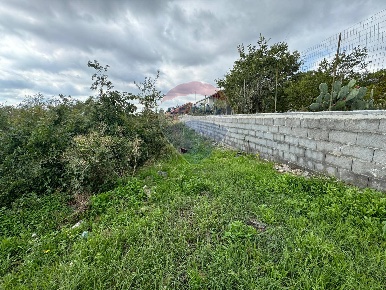 Foto Terreno agricolo in via beato angelico, Mascalucia Centro di 1200 m²