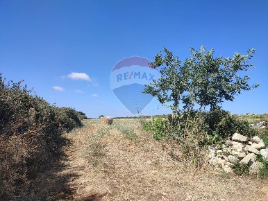 Foto Terreno agricolo in C.DA Tribastone, Ragusa Puntarazzi - Pozzillo