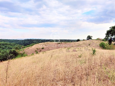 Foto Terreno agricolo in Località Montemaria, Cellere in vendita
