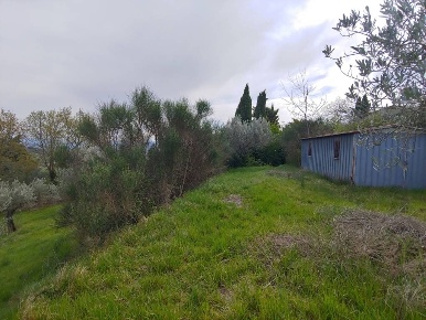 Foto Terreno agricolo a Assisi di 6700 m² in vendita