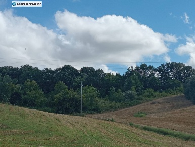 Foto Terreno agricolo in Strada Provinciale 51, Termoli di 5920 m²