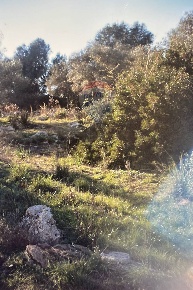 Foto Terreno agricolo a Siracusa Gelone - Cadorna di 4000 m² in vendita