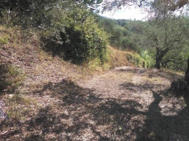 Foto Terreno agricolo in via Colle San Francesco, Guidonia Montecelio