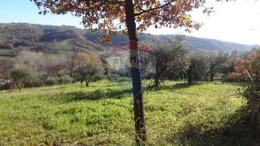 Foto Terreno agricolo in via papa Giovanni XIII, Miglianico di 4680 m²