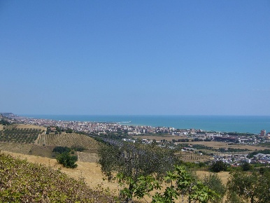 Foto Terreno agricolo in Contrada Colle Monterenzo, Porto d'Ascoli