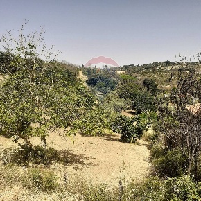 Foto Terreno agricolo in STRADA VICINALE POLLICARINI CANCO, Enna di 6690 m²