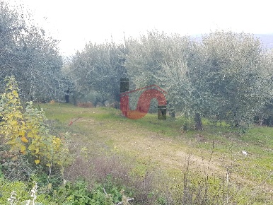 Foto Terreno agricolo in Contrada ponte valentino, Benevento di 16500 m²