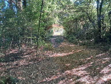 Foto Terreno agricolo in località Ferraia, Reggello di 500 m² in vendita