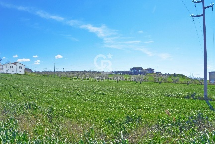 Foto Terreno agricolo in Località Pantano di Sotto, Tarquinia Sant'Agostino