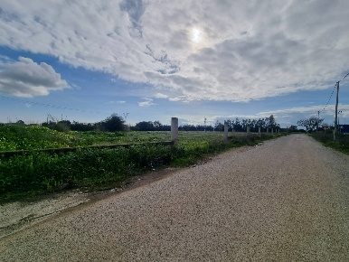 Foto Terreno residenziale in SS 131, Sestu di 9500 m² in vendita