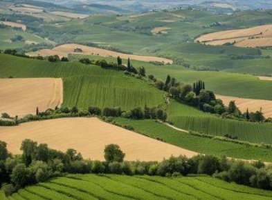 Foto Terreno agricolo a Monte San Pietrangeli in vendita