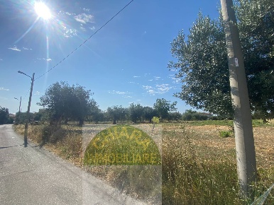 Foto Terreno residenziale in dei Bontempi, Vasto di 5600 m² in vendita