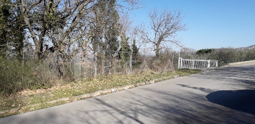 Foto Terreno agricolo in via Provinciale, Candida di 3781 m² in vendita