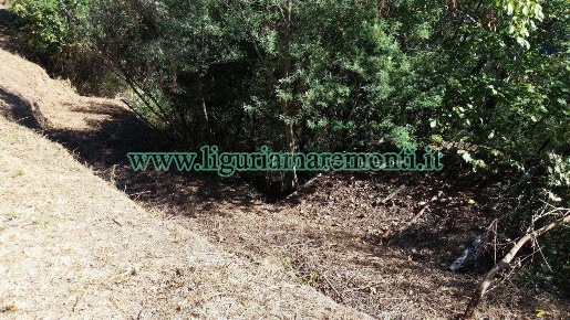 Foto Terreno agricolo in via monteprato, Savona di 3000 m² in vendita