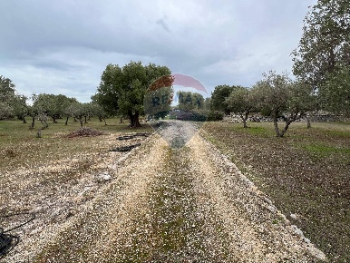 Foto Terreno agricolo a Monopoli di 59013 m² in vendita
