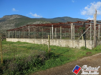 Foto Terreno agricolo in Via Orione, Monte San Biagio di 6910 m² in vendita