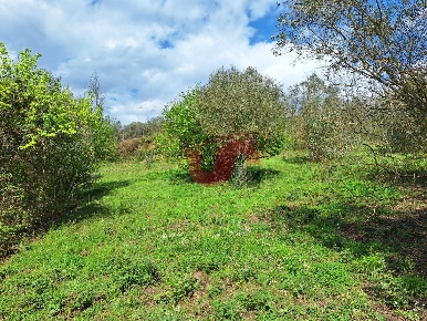 Foto Terreno residenziale in Via Santa Croce, Sant'Angelo a Cupolo Centro