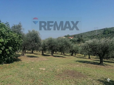 Foto Terreno residenziale in VIA LUDOVICO ARIOSTO, Moscufo di 1924 m²