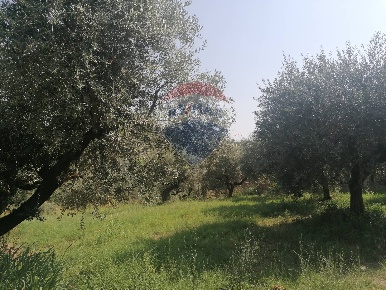Foto Terreno residenziale in VIA LUDOVICO ARIOSTO, Moscufo di 1924 m²